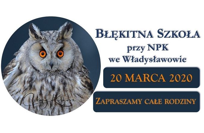 Noc Sów w Błękitnej Szkole we Władysławowie grafika