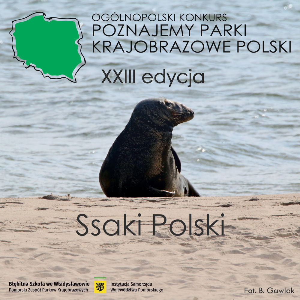 Plakat konkursowy Poznajemy Parki Krajobrazowe Polski -edycja XXII - zdjęcie mewy w morzu, fot. Patrycja Boszke