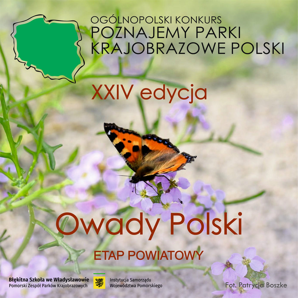 Plakat konkursowy Poznajemy Parki Krajobrazowe Polski - edycja XXIV - Rusałka pokrzywnik na rukwieli nadmorskiej, fot. Patrycja Boszke