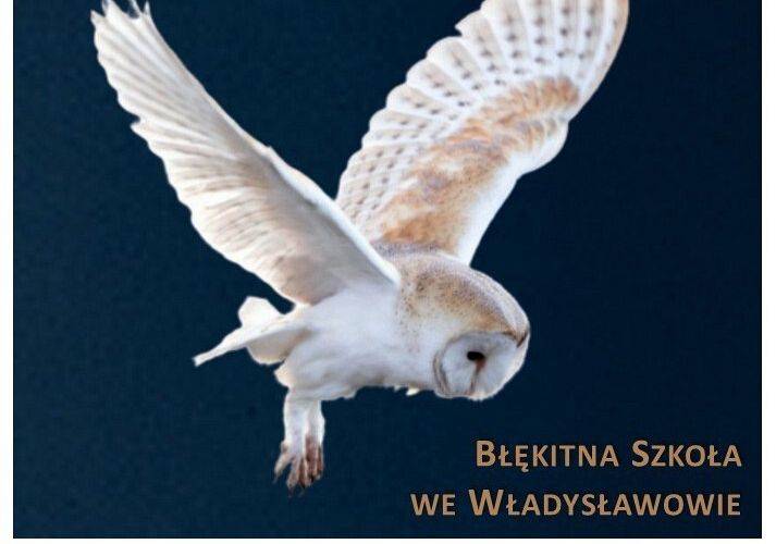 Grafika Zapraszamy na Noc Sów 2026