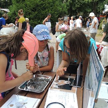 Grafika Nadmorski Piknik z Parkiem 2018