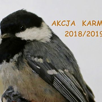 Grafika Akcja Karmnik 2018/2019 rozpoczęta