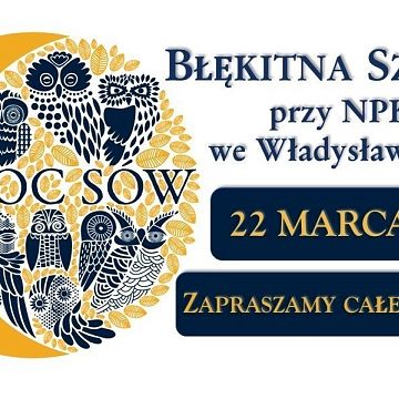 Grafika Noc Sów w Błękitnej Szkole we Władysławowie