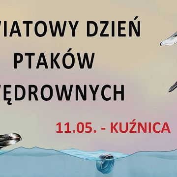 Grafika Światowy Dzień Ptaków Wędrownych w Kuźnicy