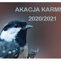 Grafika Akcja Karmnik 2020/2021