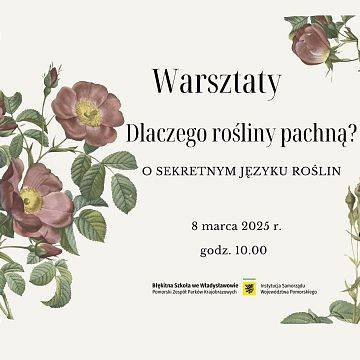 Grafika Dlaczego rośliny pachną? O sekretnym języku roślin