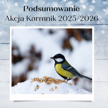 Grafika Akcja Karmnik 2025/2026 - podsumowanie