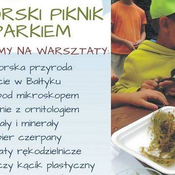 Grafika Nadmorski Piknik z Parkiem