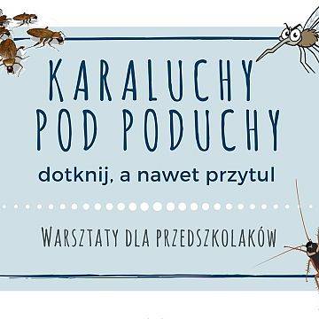 Grafika Karaluchy pod poduchy-warsztaty dla przedszkolaków