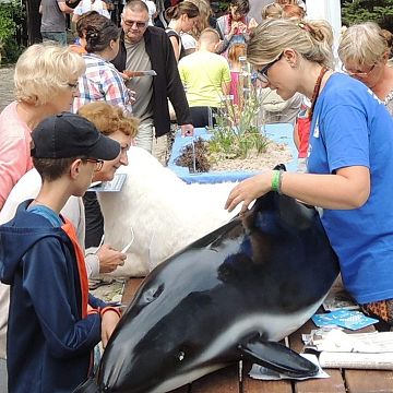 Grafika „Nadmorski Piknik z Parkiem” niestety już za nami, a na Pikniku…