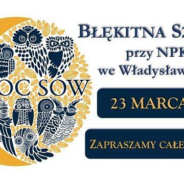 Grafika Noc Sów w Błękitnej Szkole we Władysławowie