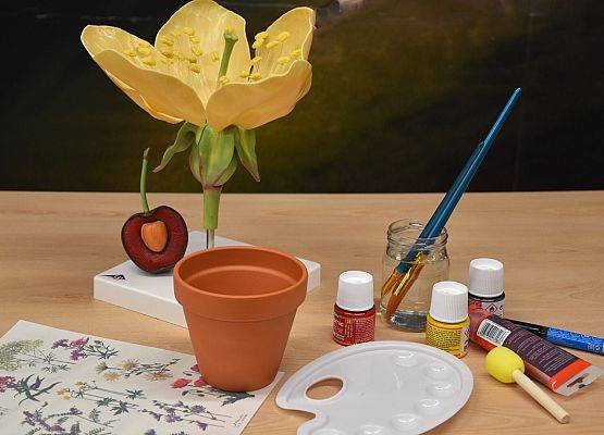 Materiały przygotowane do zajęć-model kwiata,doniczka, farbki i pędzle, wodne tatuaże z motywami roślin. Fot.: PB