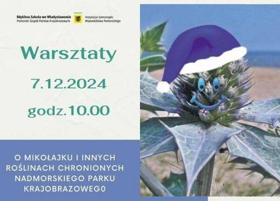 Plakat rodzinnych warsztatów "Na Mikołajki o mikołajku" grafika