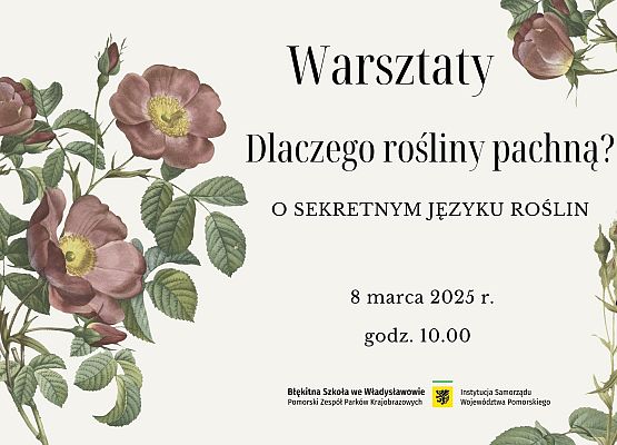 Plakat-na kremowym tle ilustracja dzikiej róży, tytuł oraz data wydarzenia