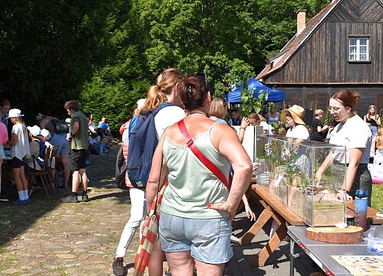 "Co w piasku piszczy" - makiety wydm z charakterystyczną roślinnością Kilka osób ogląda makietę, edukator opowiada o cechach roślin wydmowych. W tle uczestnicy przy innych stoiskach