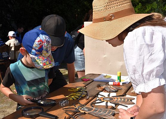 Stoisko "Ciekawostki o pszczołach" Chłopiec z tatą ogląda przez lupę pszczołę. Na stole duże modele kilku gatunków pszczół