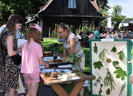 Stoisko edukacyjne "Drzewa naszych lasów" 3 osoby rozpoznają liście i igły ok. 15 gatunków drzew. W tle inne stoiska