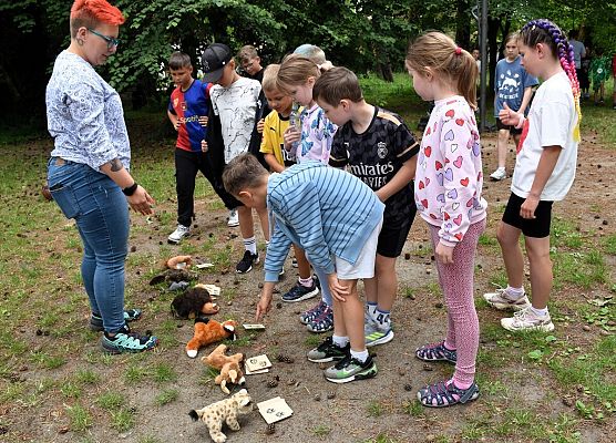Zajęcia w terenie zielonym ( trawn ok 20 dzieci wykonują zadanie dopasować trop do gatunku zwierzęci