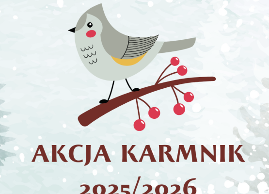 Grafika Akcja Karmnik 2025/2026