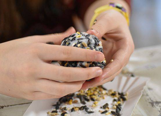 Grafika Dzielimy się wspomnieniami z ferii w Błękitnej Szkole