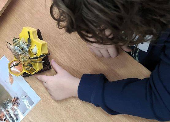 Grafika Dzielimy się wspomnieniami z ferii w Błękitnej Szkole