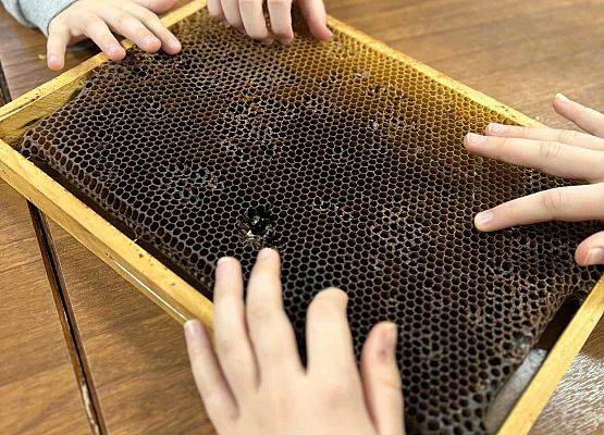 Grafika Dzielimy się wspomnieniami z ferii w Błękitnej Szkole