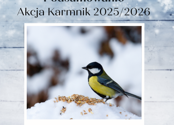 Akcja Karmnik 2025/2026 - podsumowanie Grafika Akcja Karmnik 2025/2026 - podsumowanie