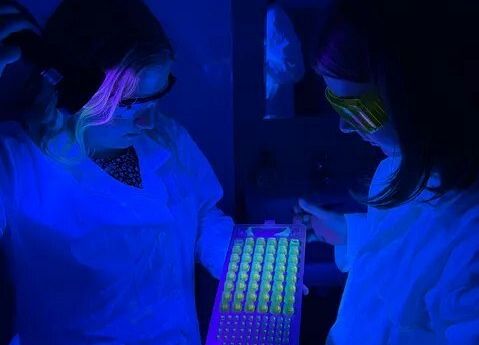 Grafika Letni obóz Naukowego Koła Chemików Studentów Politechniki Gdańskiej