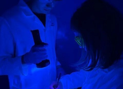 Grafika Letni obóz Naukowego Koła Chemików Studentów Politechniki Gdańskiej