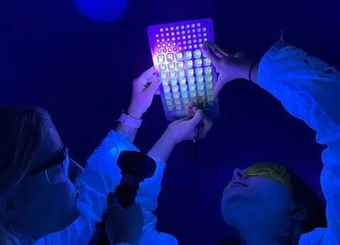 Grafika Letni obóz Naukowego Koła Chemików Studentów Politechniki Gdańskiej