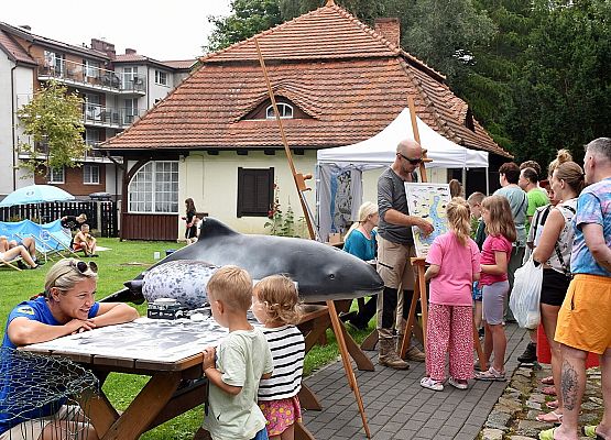 Stoiska edukacyjne w plenerze- na pierwszym planie stoisko Ssaki Bałtyku
