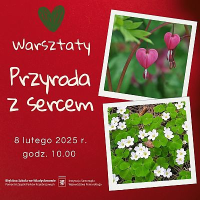 Plakat wydarzenia. Na czerwonym tle po prawej dwa zdjęcia roślin (szczawik zajęczy i serduszka okazała) z lewej tytuł i data wydarzenia.