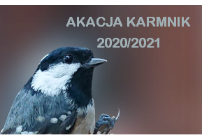Akcja Karmnik 2020/2021 grafika