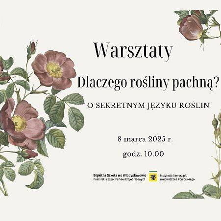 Grafika Dlaczego rośliny pachną? O sekretnym języku roślin