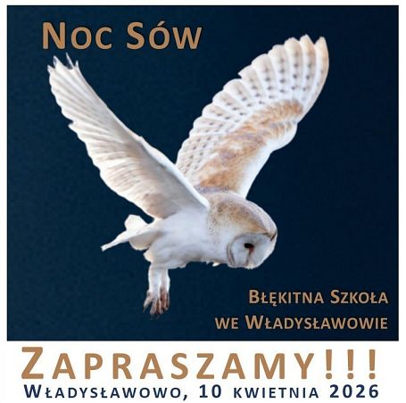 Grafika Zapraszamy na Noc Sów 2026