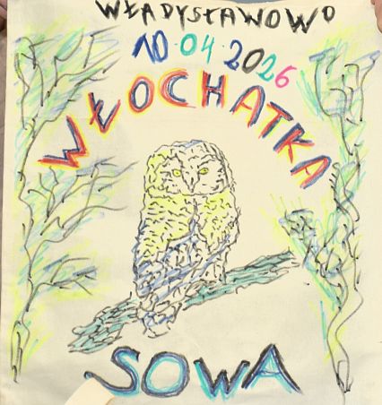 Grafika Relacja z Nocy Sów w Błękitnej Szkole
