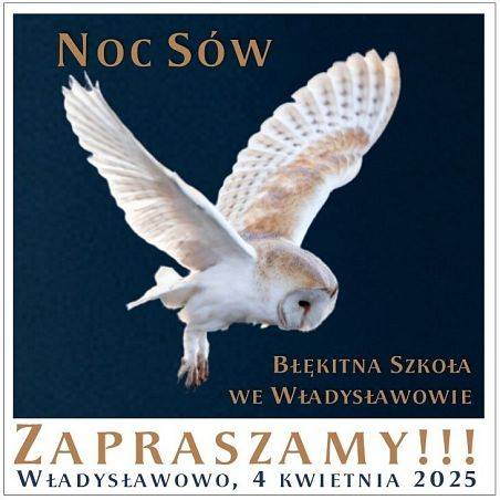 Grafika Noc Sów 2025 w Błękitnej Szkole